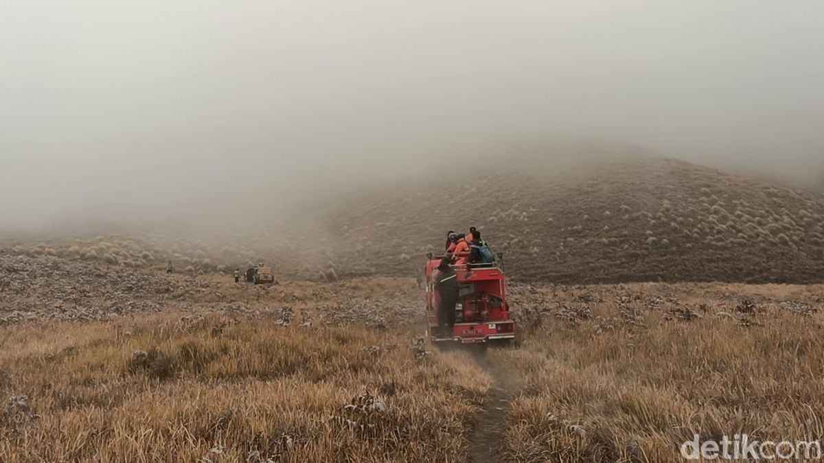 Dari Darat dan Udara, Begini Upaya Petugas Padamkan Karhutla Bromo