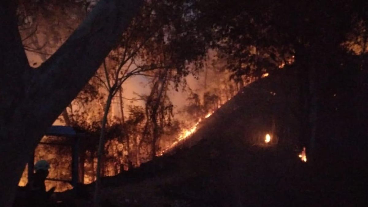 Hutan Bukit Pertapan Bayat Terbakar Malam Ini