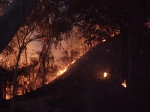 Hutan Bukit Pertapan Bayat Terbakar Malam Ini