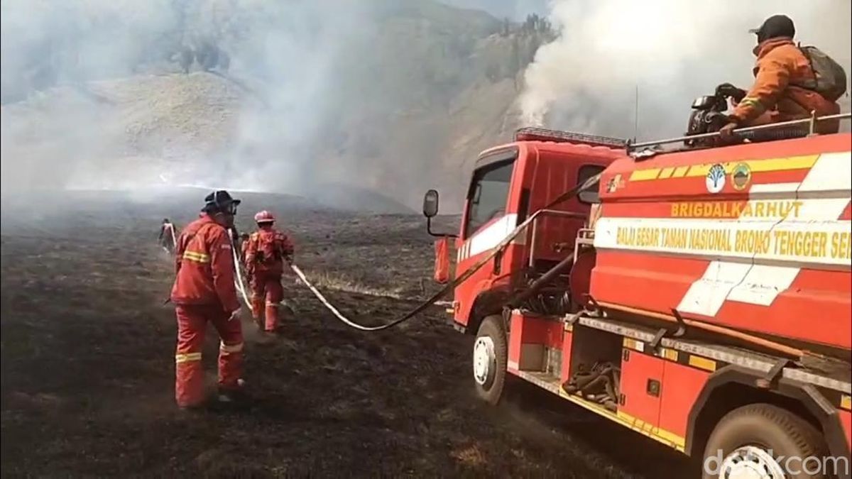 Kebakaran Bromo Makin Tak Terkendali, Wisata Bromo Ditutup Total