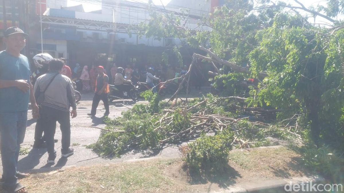 Potret Petugas Evakuasi Pohon Tumbang di Tengah Angin Kencang Sidoarjo