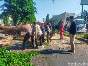 Daryono Ingatkan Bahaya Angin Kencang Saat Kemarau di Jatim