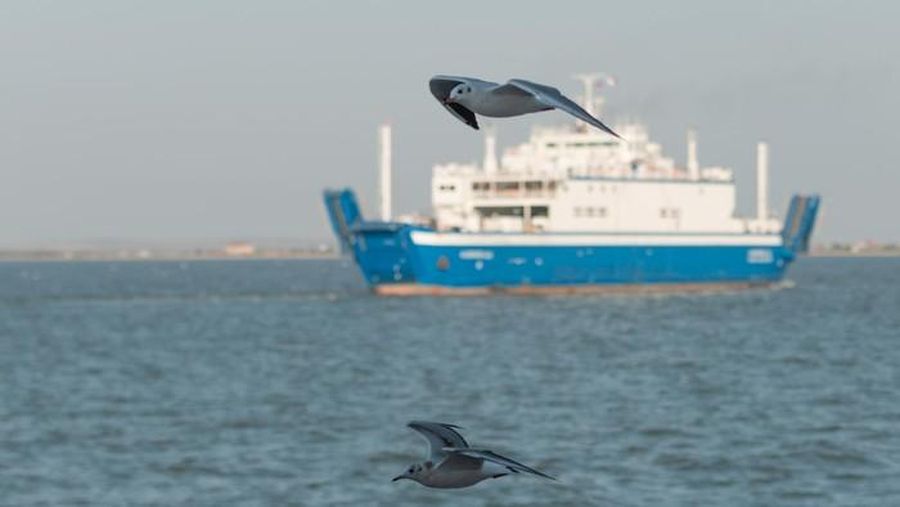 Ilustasi kapal laut (Foto: Thinkstock)