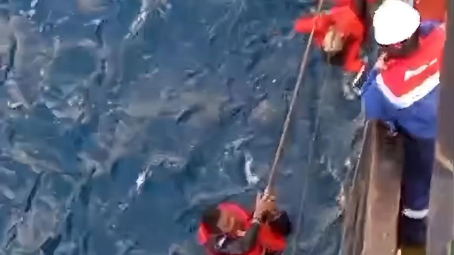 PT Pertamina Patra Niaga melalui kapal tanker MT Mauhau turut membantu proses pencarian dan penyelamatan korban KMP Virgo Transport 08 yang dilaporkan tenggelam di perairan Laut Jawa, Minggu (13/9). (Dok. Pertamina)