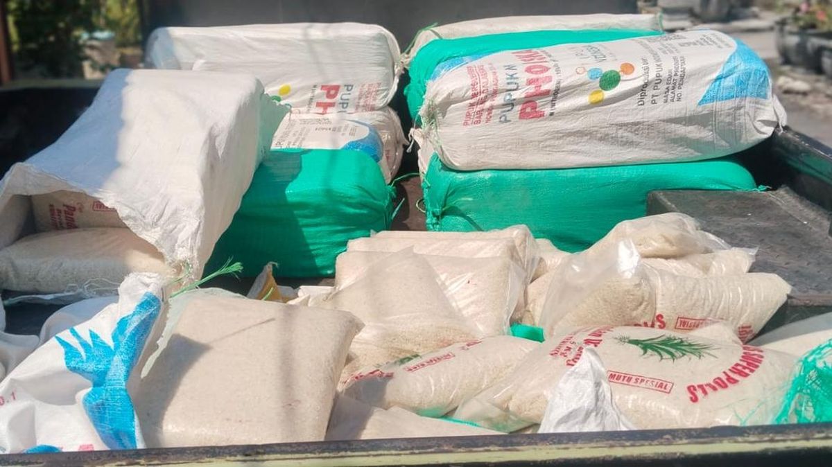 Usai Panen, Kades di Lamongan Bagikan Beras ke 430 Rumah Warga