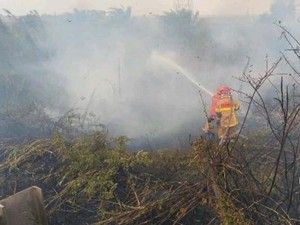Karhutla Menyebar Luas di OKI, Asap Mengarah ke Palembang