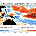 Anomali Suhu Muka Laut Dasarian I September 2026. (Dok: Analisis Dinamika Atmosfer Dasarian I September 2026 yang dirilis BMKG pada 14 Septembr 2026)