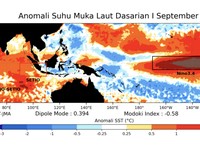 Anomali Suhu Muka Laut Dasarian I September 2026. (Dok: Analisis Dinamika Atmosfer Dasarian I September 2026 yang dirilis BMKG pada 14 Septembr 2026)