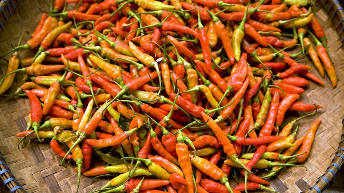 Harga Cabai Rawit Merah Rp 90 Ribu/Kg, Simak Tips Simpan dan Alternatifnya