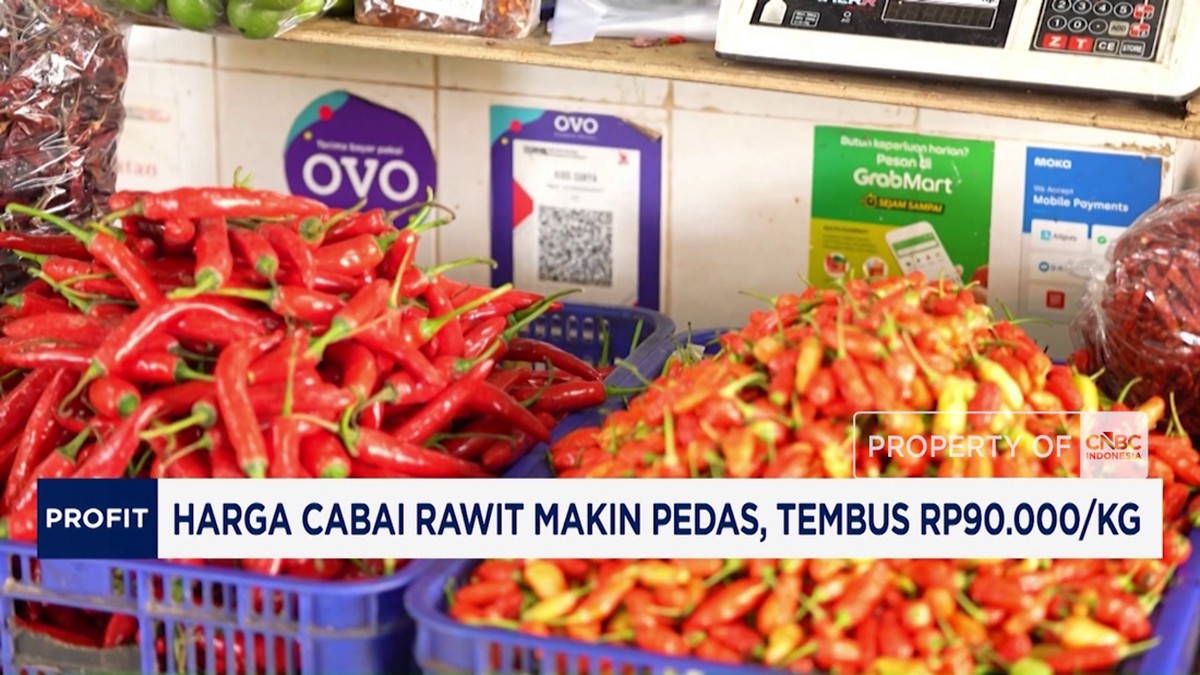 Video: Harga Cabai Rawit Makin Pedas, Tembus Rp90.000/Kg