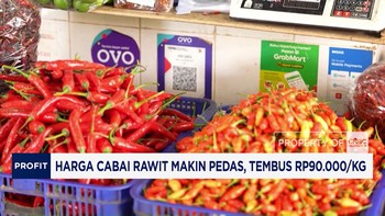 Harga Cabai Rawit Makin Pedas, Tembus Rp90.000/Kg