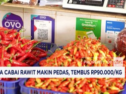 Harga Cabai Rawit Makin Pedas, Tembus Rp90.000/Kg