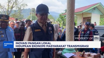 Inovasi Pangan Lokal Hidupkan Ekonomi Masyarakat Transmigrasi