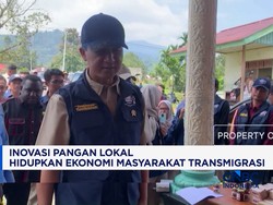 Inovasi Pangan Lokal Hidupkan Ekonomi Masyarakat Transmigrasi