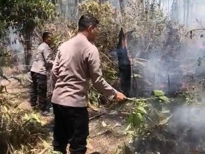 Kebakaran Gunung Lawu Merembet ke Ngawi, 12 Hektare Hangus Terbakar