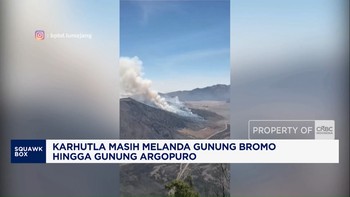 Karhutla Masih Melanda Gunung Bromo hingga Gunung Argopuro