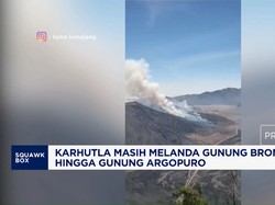 Karhutla Masih Melanda Gunung Bromo hingga Gunung Argopuro