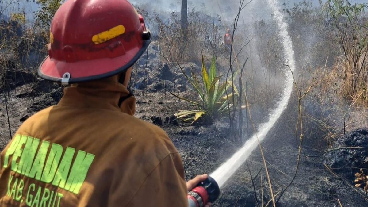 Karhutla Menghanguskan Kaki Gunung Guntur di Garut — NadiKabar.com
