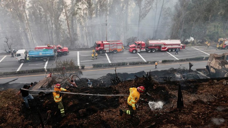 Kebakaran hutan di dekat kawasan permukiman, sementara orang-orang bermain sepak bola di sebuah lapangan di Quito, Ekuador, Minggu (13/9/2026). (REUTERS/Karen Toro)