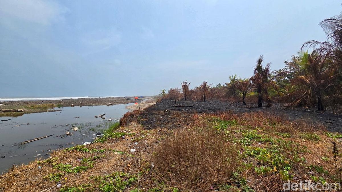 Heboh Kabar Transaksi 4 Hektare Lahan Timbul di Pesisir Loji Sukabumi