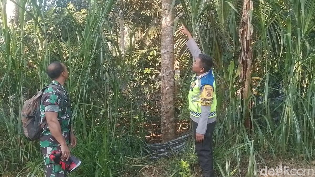 Suami Cari Tangga Hilang, Malah Temukan Istri Gantung Diri di Pohon Durian