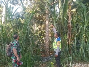 Suami Cari Tangga Hilang, Malah Temukan Istri Gantung Diri di Pohon Durian