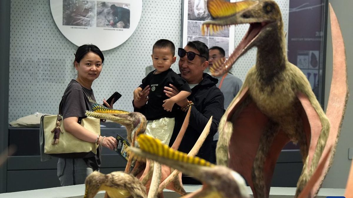 Pertama di Dunia, China Buka Museum Reptil Terbang dari Zaman Prasejarah
