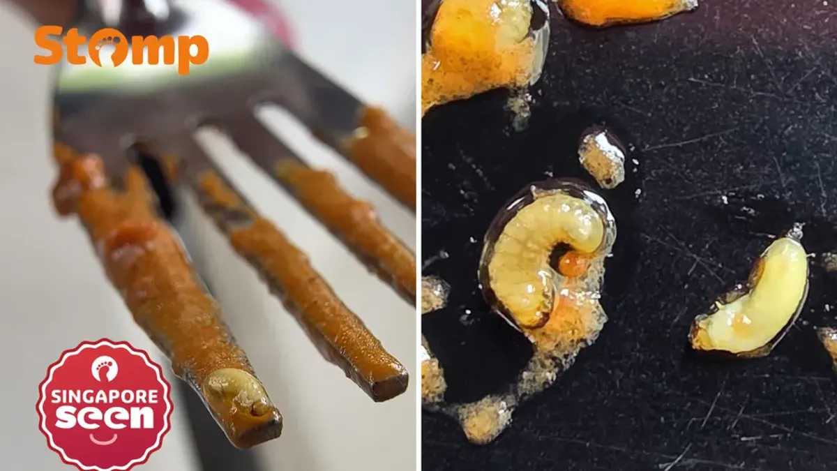Bikin Mual! Pengunjung Temukan Banyak Larva di Butter Chicken
