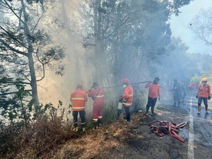 4 Titik Karhutla Masih Terjadi di Jatim, Bromo hingga Arjuno