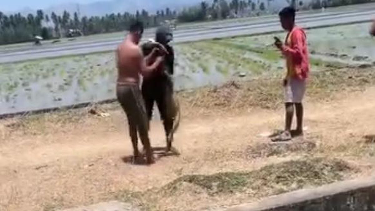 Bocah 5 Tahun di Polman Tewas Tenggelam di Saluran Irigasi Saat Bermain