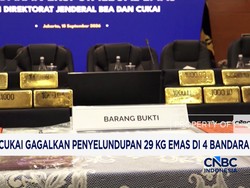 Bea Cukai Gagalkan Penyelundupan 29 Kg Emas di 4 Bandara