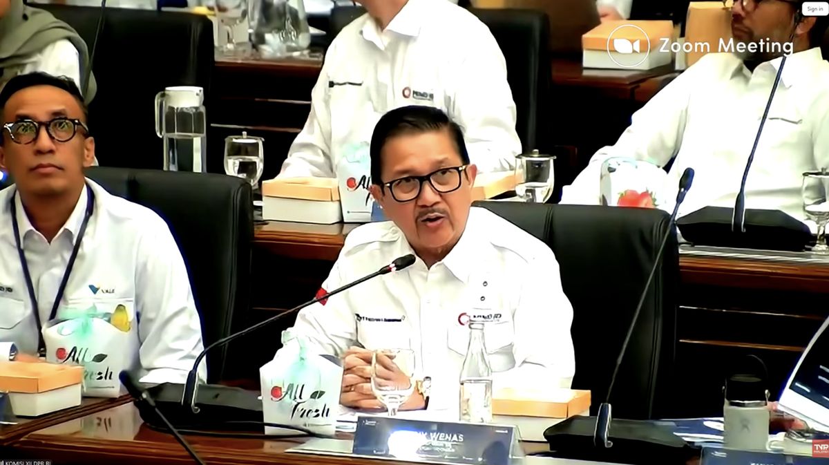 Freeport Bakal Kocek Rp 72 Triliun untuk Kucing Liar