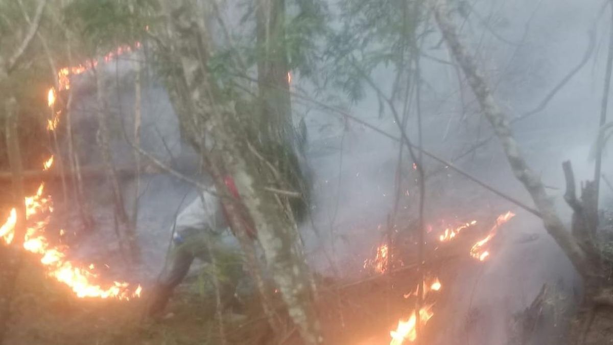 Hutan Gunung Andong Magelang Kembali Terbakar
