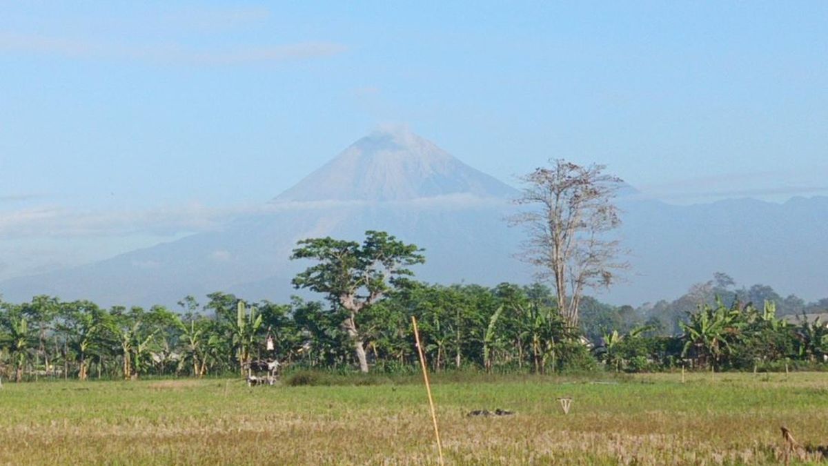 Gunung Semeru Meletus 30 Kali Disertai Dentuman dalam 6 Jam