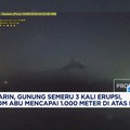 Kemarin, Gunung Semeru 3 Kali Erupsi, Kolom Abu Mencapai 1.000 Meter di Atas Puncak