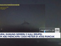 Kemarin, Gunung Semeru 3 Kali Erupsi, Kolom Abu Mencapai 1.000 Meter di Atas Puncak