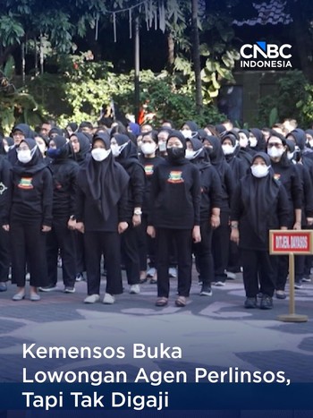 Kemensos Buka Lowongan Agen Perlinsos, Tapi Tak Digaji