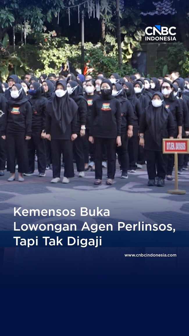Kemensos Buka Lowongan Agen Perlinsos, Tapi Tak Digaji
