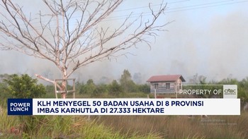 KLH Menyegel 50 Badan Usaha di 8 Provinsi Imbas Karhutla di 27.333 Hektare