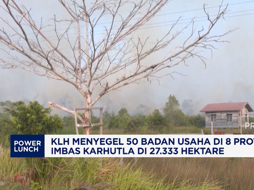 KLH Menyegel 50 Badan Usaha di 8 Provinsi Imbas Karhutla di 27.333 Hektare