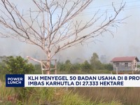 KLH Menyegel 50 Badan Usaha di 8 Provinsi Imbas Karhutla di 27.333 Hektare