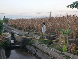 Identitas Terduga Maling Jeruk yang Tewas Dimassa di Banyuwangi