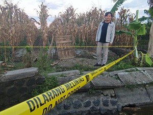 Kronologi Maling Jeruk di Banyuwangi Tewas Dimassa