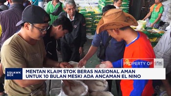 Mentan Klaim Stok Beras Nasional