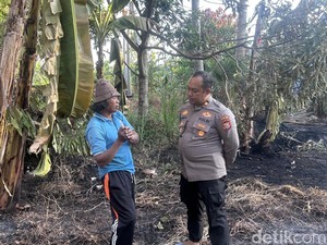 Lansia di Pinrang Tewas Saat Padamkan Kebakaran di Kebunnya