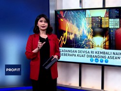Cadangan Devisa RI Kembali Naik, Seberapa Kuat Dibanding ASEAN?