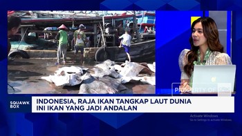 Indonesia Raja Ikan Tangkap Laut Dunia, Nelayan Lokal Sudah Sejahtera?