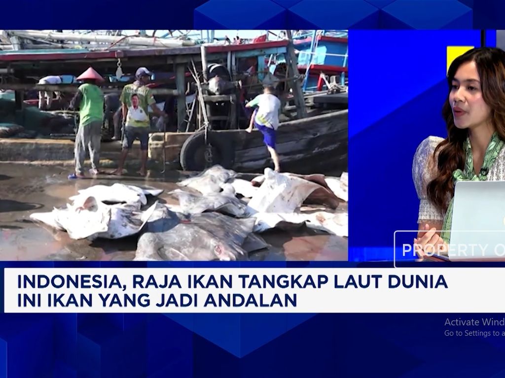 Indonesia Raja Ikan Tangkap Laut Dunia, Nelayan Lokal Sudah Sejahtera?