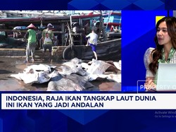 Indonesia Raja Ikan Tangkap Laut Dunia, Nelayan Lokal Sudah Sejahtera?