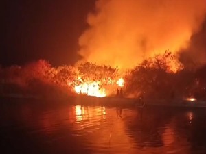 Dicari! Pemabuk Rese Bakar Lahan 10 Hektare di Dekat Mal Semarang